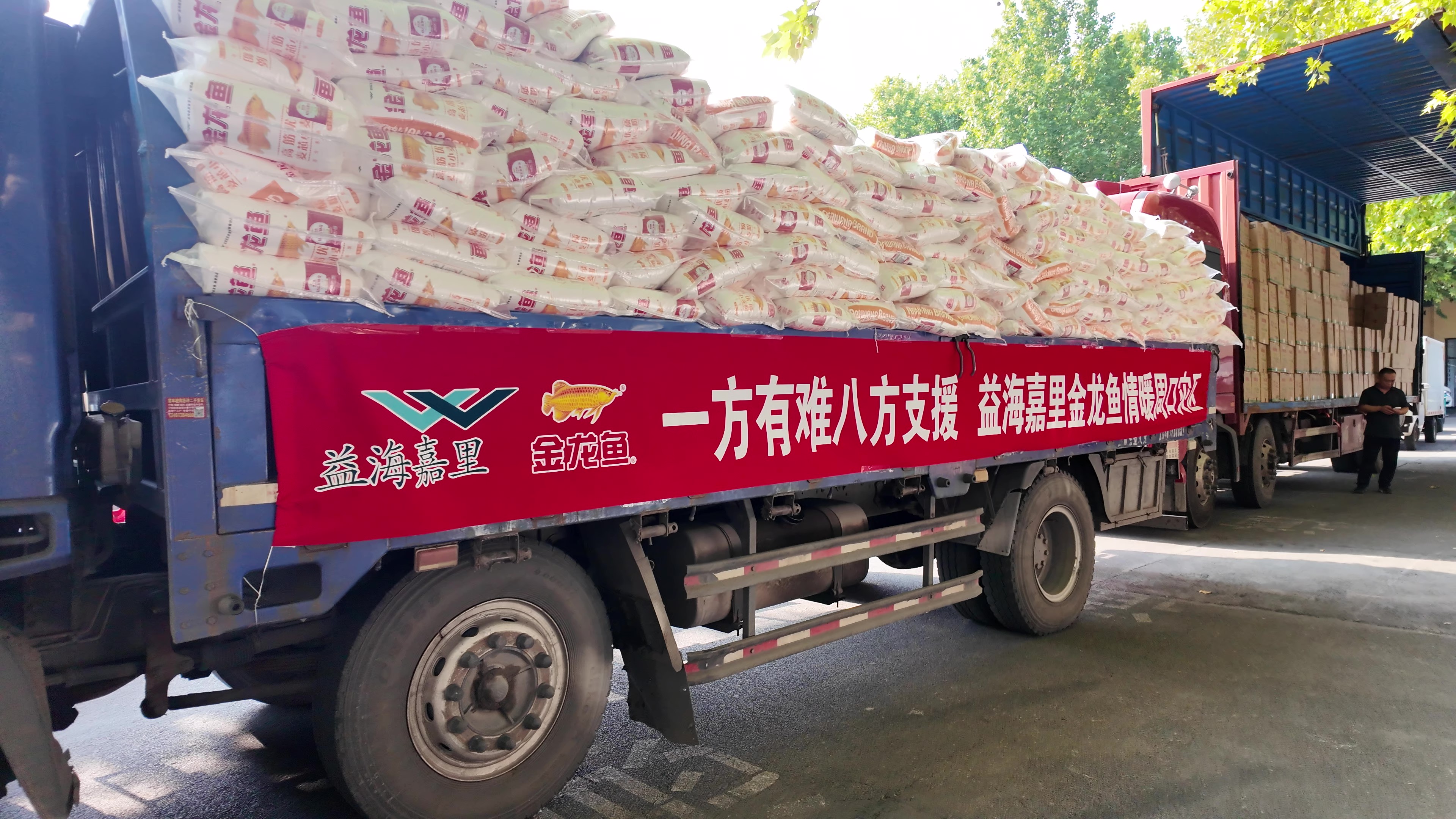 情系灾区献爱心,同心聚力抗汛情——益海嘉里金龙鱼在行动